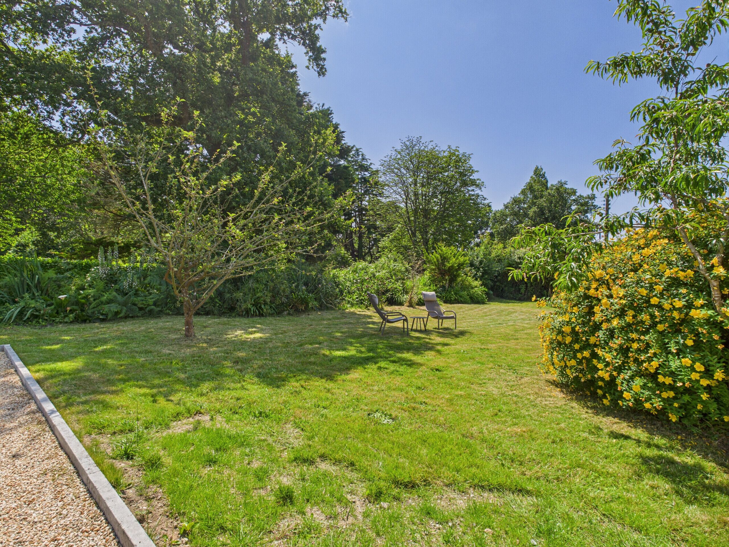 Un jardin avec une pelouse, deux chaises et une haie ornée de fleurs jaunes.