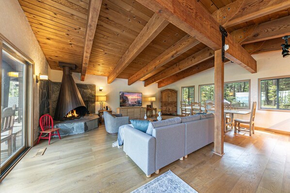 Smart TV, fireplace, books
