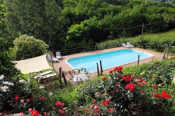 House | Pool | Outdoor pool