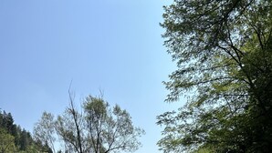 Un río serpentea a través de un paisaje rocoso, flanqueado por árboles a ambos lados.