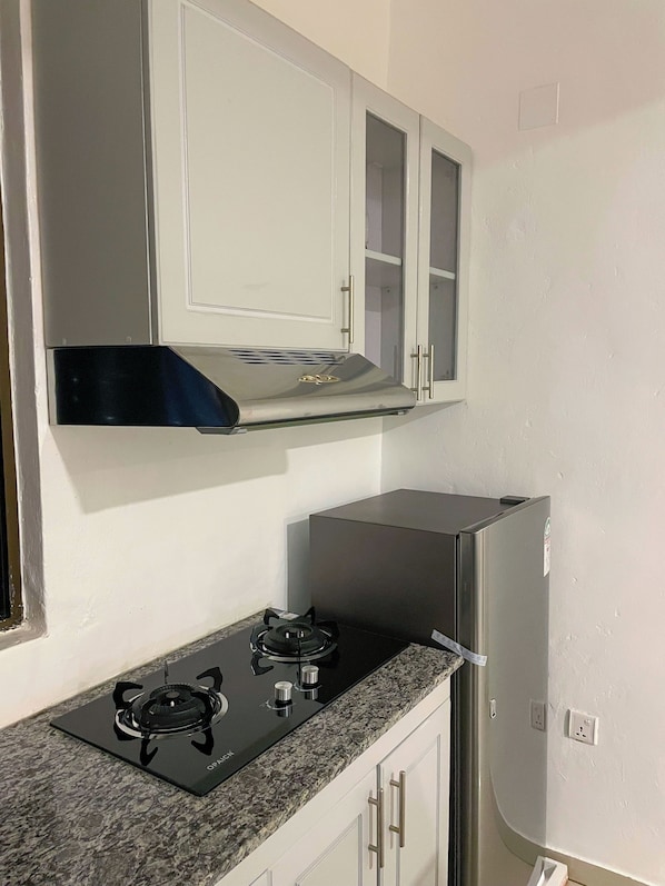 Full-sized fridge, microwave, oven, stovetop