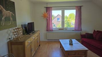 Fernseher, DVD-Player