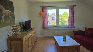 Fernseher, DVD-Player