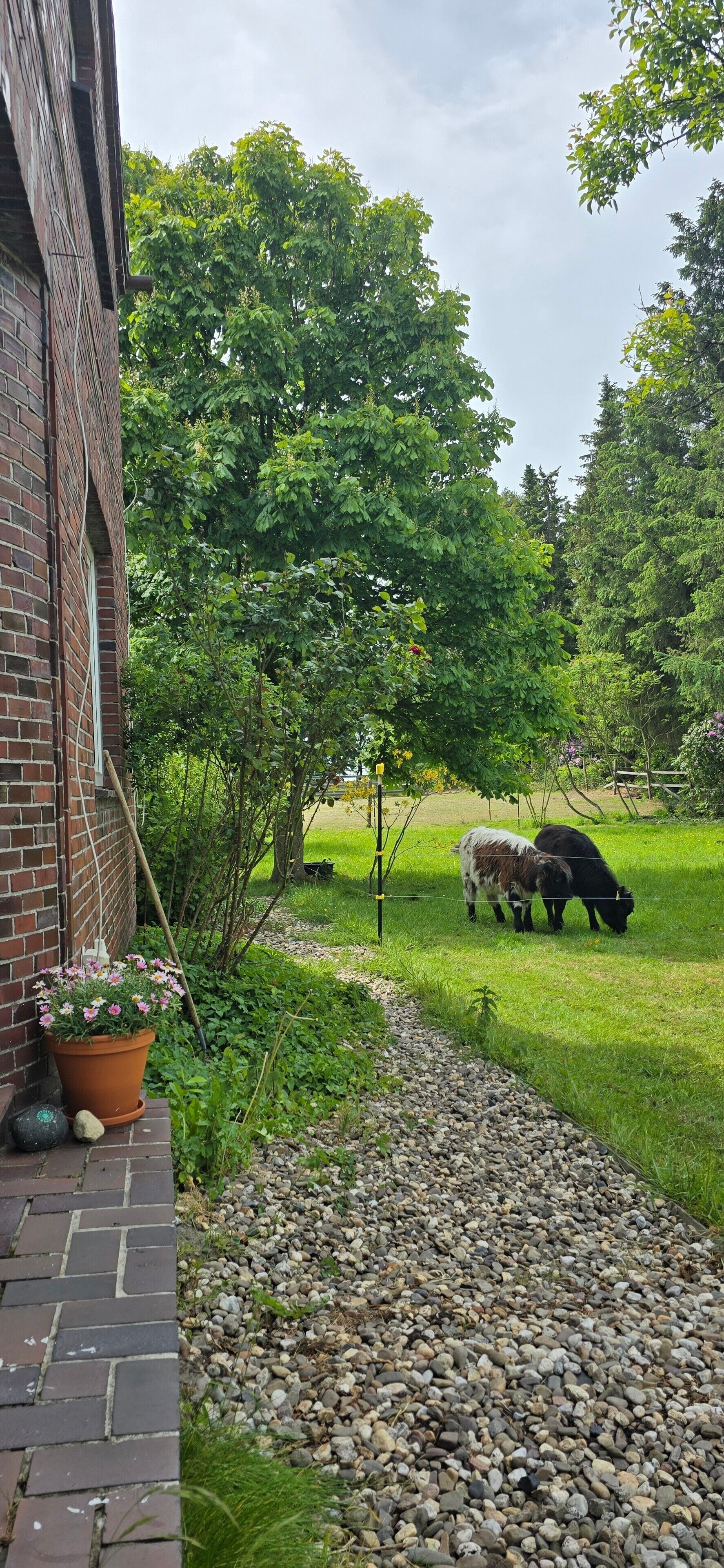 Overnatningsstedets område