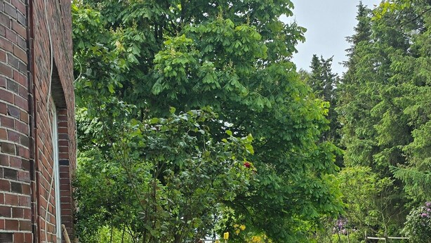 A brick building with a garden path leading to a grassy area with trees and a fence. - Apartment 'Wiesmoor - Ranch' with Private Terrace, Shared Garden and Wi-Fi (Wiesmoor)