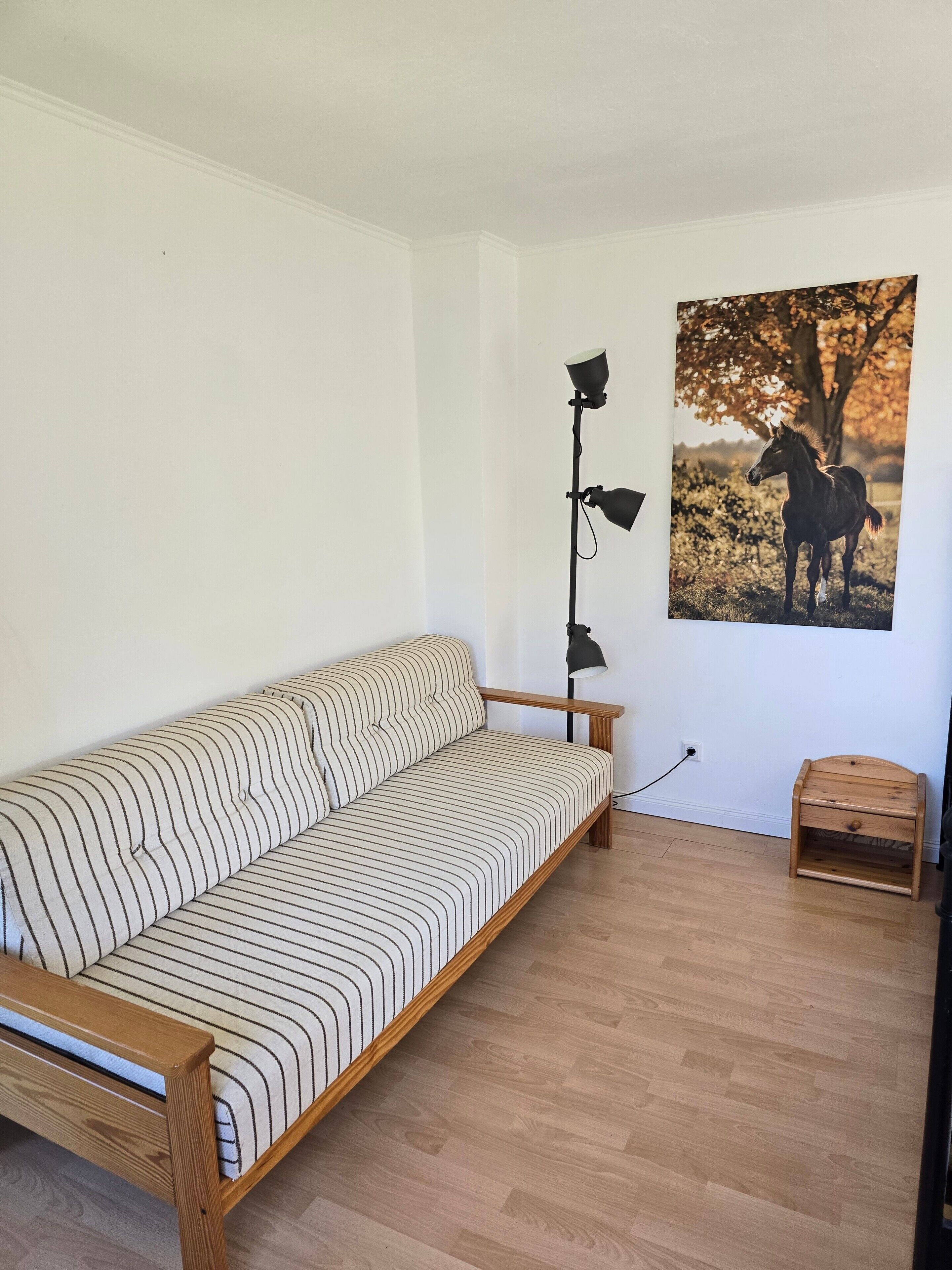 Televisio, DVD-soitin