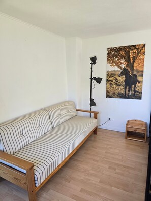 TV, DVD player