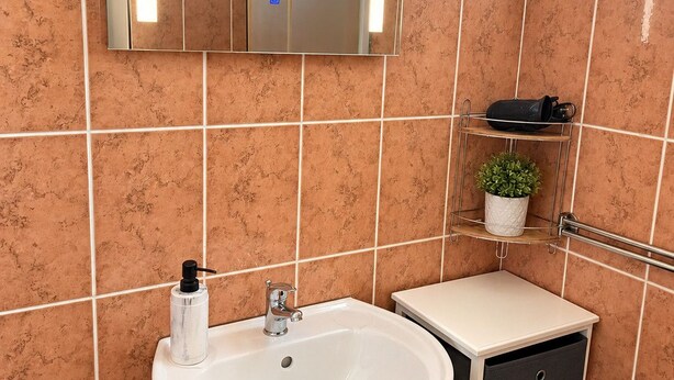 Un baño con un lavamanos blanco, un espejo, un perchero para toallas y una planta en maceta.