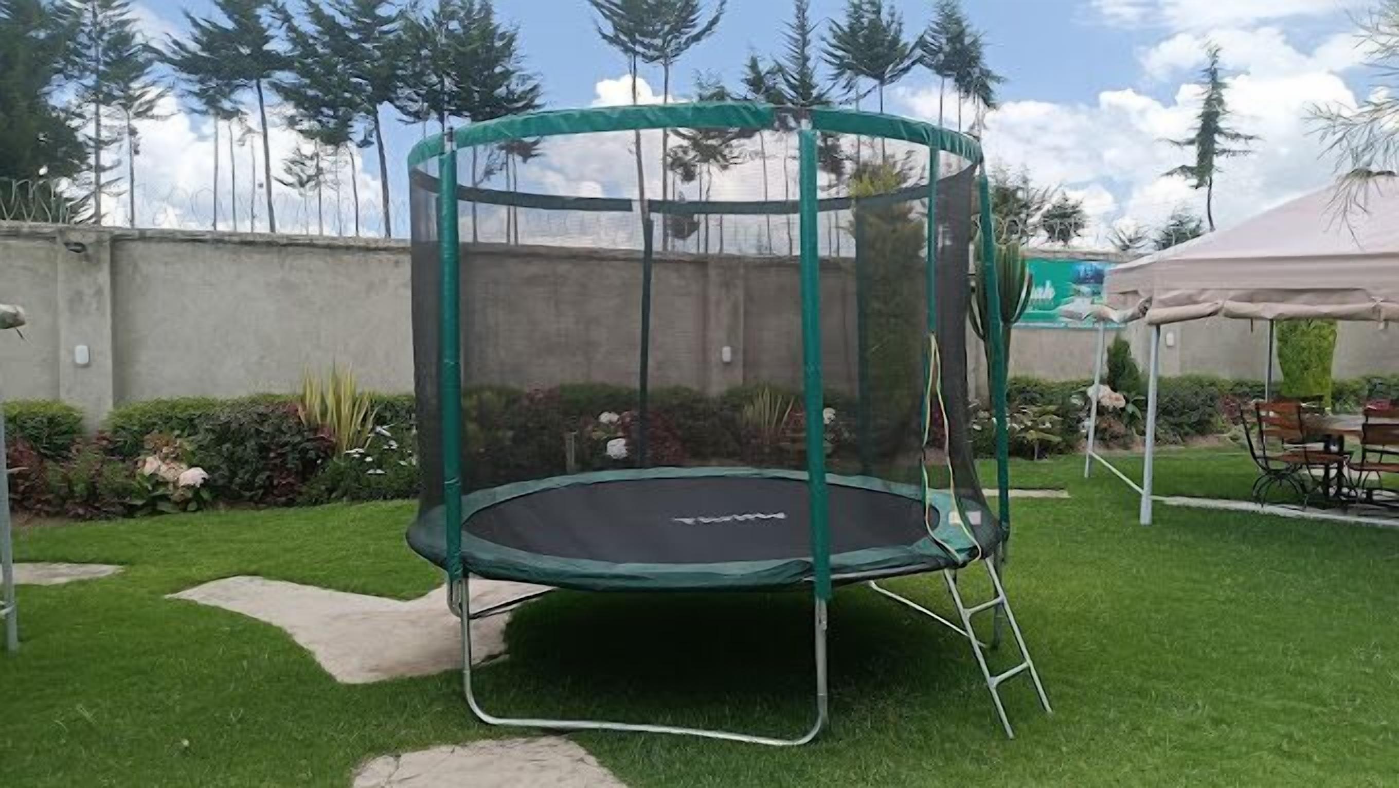 Un trampolín con red de seguridad en un patio trasero con césped, un sendero de concreto y un jardín.
