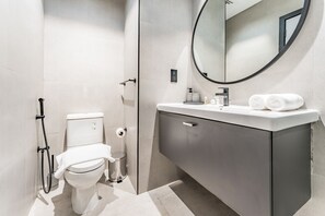 Regadera, secadora de cabello, toallas, jabón 