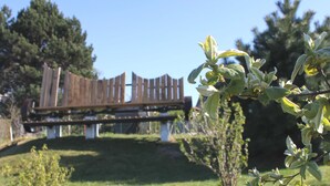 Eine Holzbrücke über eine Wiese, im Hintergrund Bäume.