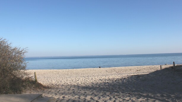 Ein Strand mit klarem Himmel und ruhiger See.