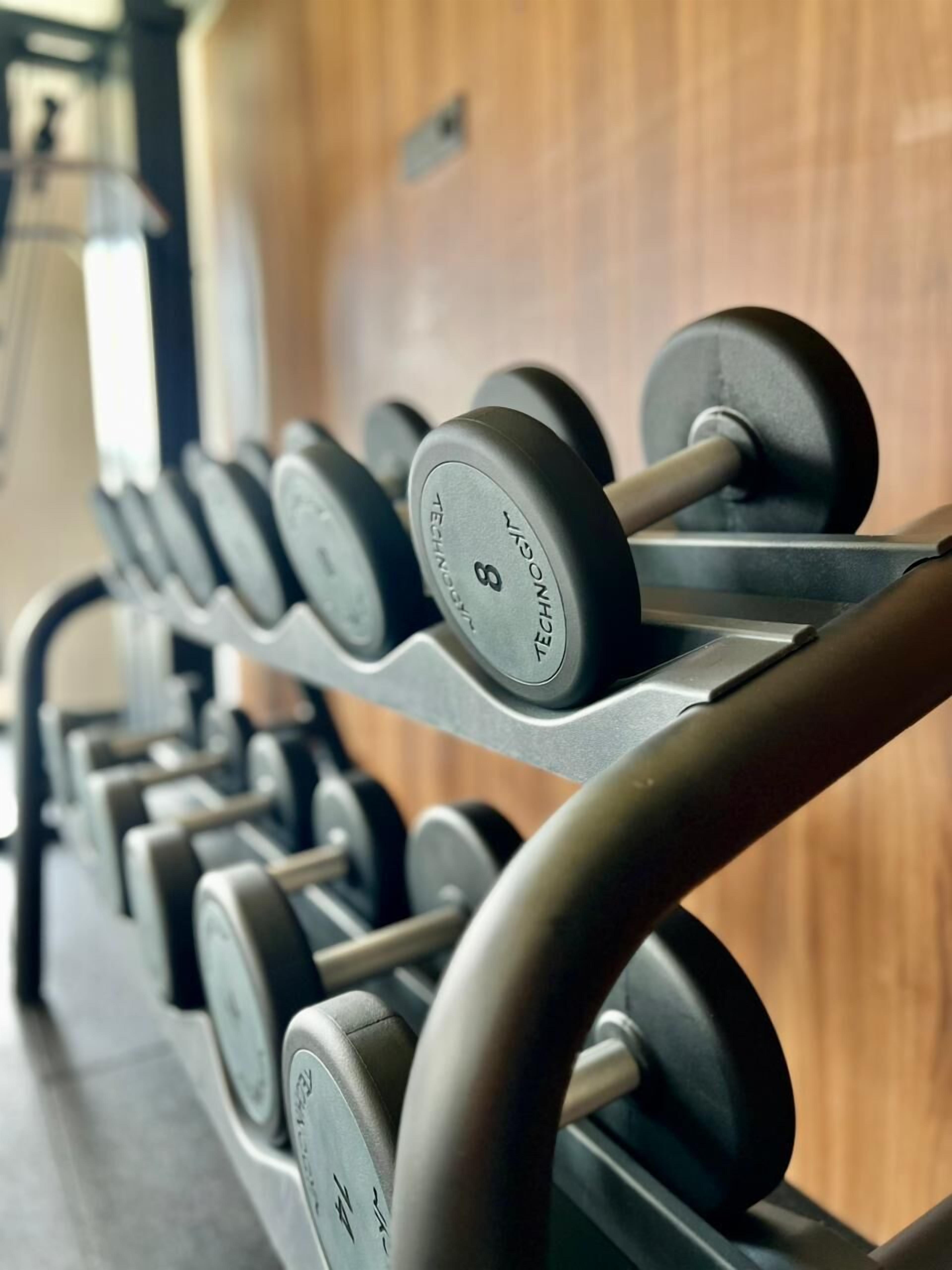 A row of dumbbells on a rack in a gym.
