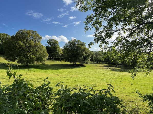 Unclassified image, 1 of 10, button