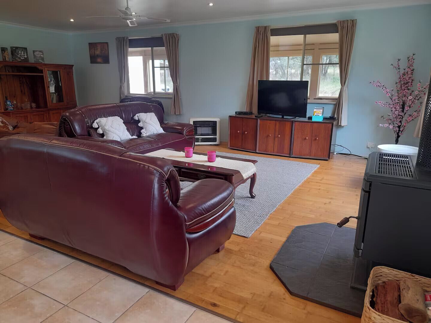 Smart TV, fireplace, DVD player, books
