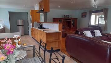 Smart TV, chimenea, reproductor de DVD y libros