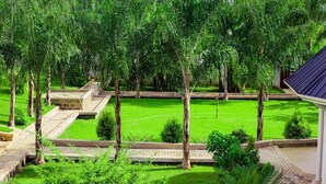 Un jardin luxuriant avec une pelouse centrale, entouré de grands arbres et de sentiers en pierre.