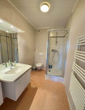 A modern bathroom with a glass shower enclosure, a white sink with a mirror, and a toilet.