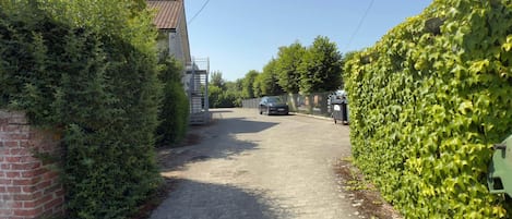A narrow driveway leading to a house with a brick wall on one side and a green hedge on the other.