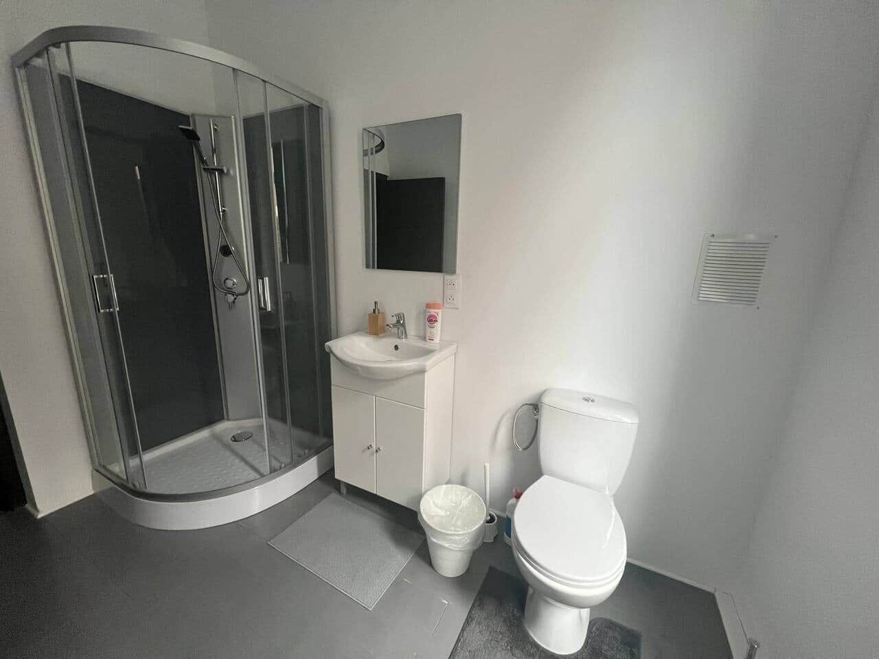 Secadora de cabello y papel de baño 