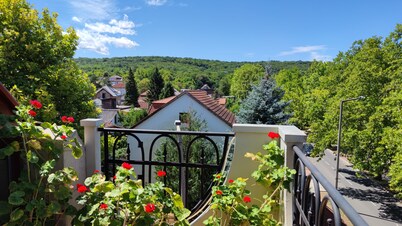 Fortuna Hotel