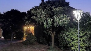 Un camino que lleva a un edificio con una ventana iluminada, rodeado de follaje denso y un farol.