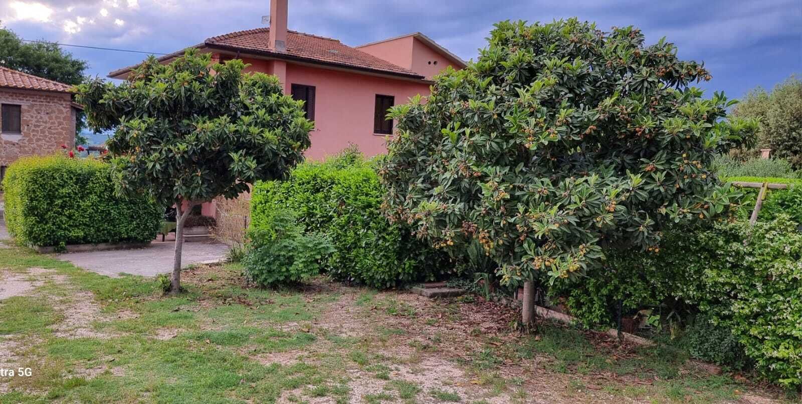 Uma casa com fachada de pedra, telhado telhado e um jardim bem cuidado com arbustos e árvores variadas.