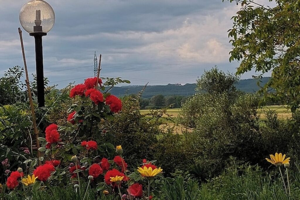 Un jardín con flores rojas y amarillas, un farol y vistas a un paisaje lejano.