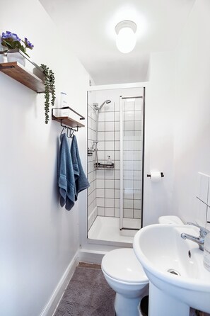 Hair dryer, towels, soap, toilet paper