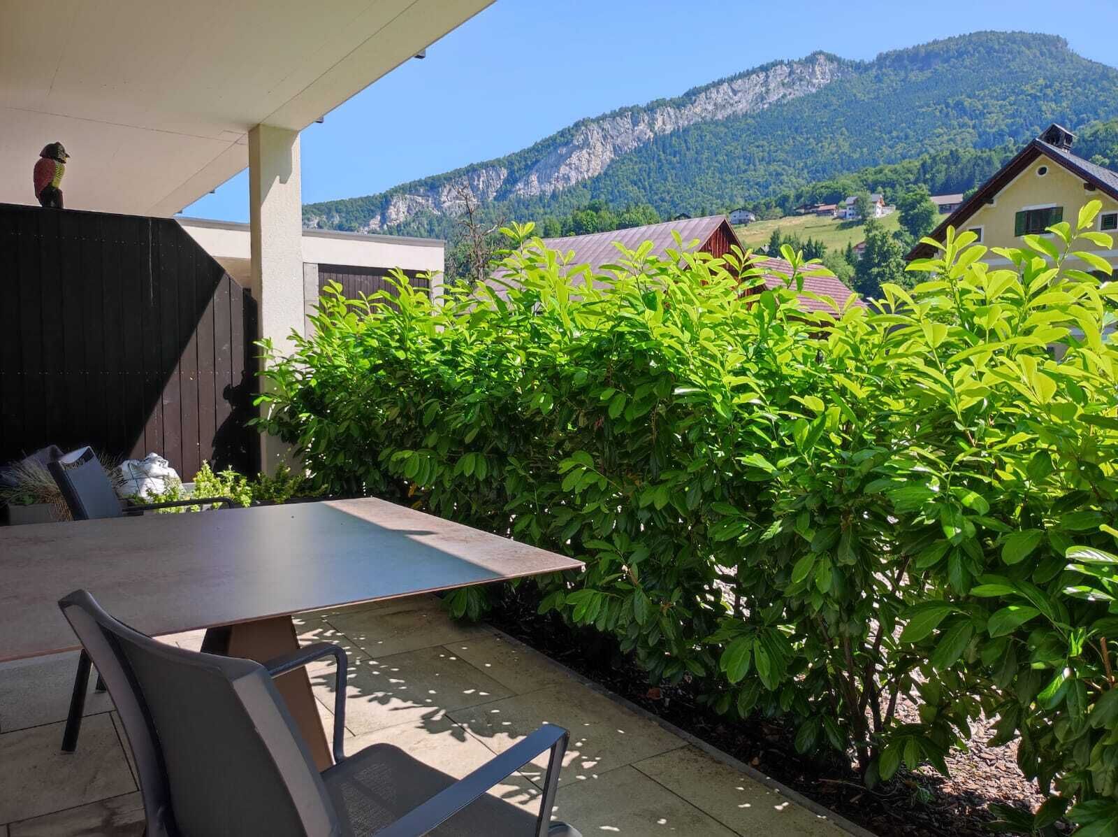 A patio with a table and chairs, surrounded by lush green bushes and a mountain view.