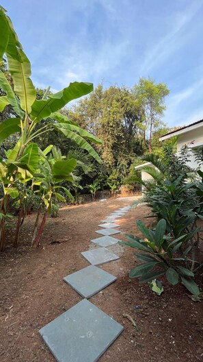 Pemandangan taman