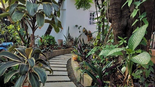 Een tuinpad met planten in potten en een wit gebouw op de achtergrond.
