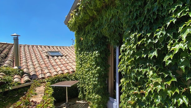 A courtyard with a tiled floor, a metal rack, and a building covered in ivy.