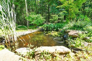 Property grounds - Forest Retreat: Poolside Bliss Close to Campus (Sewanee)