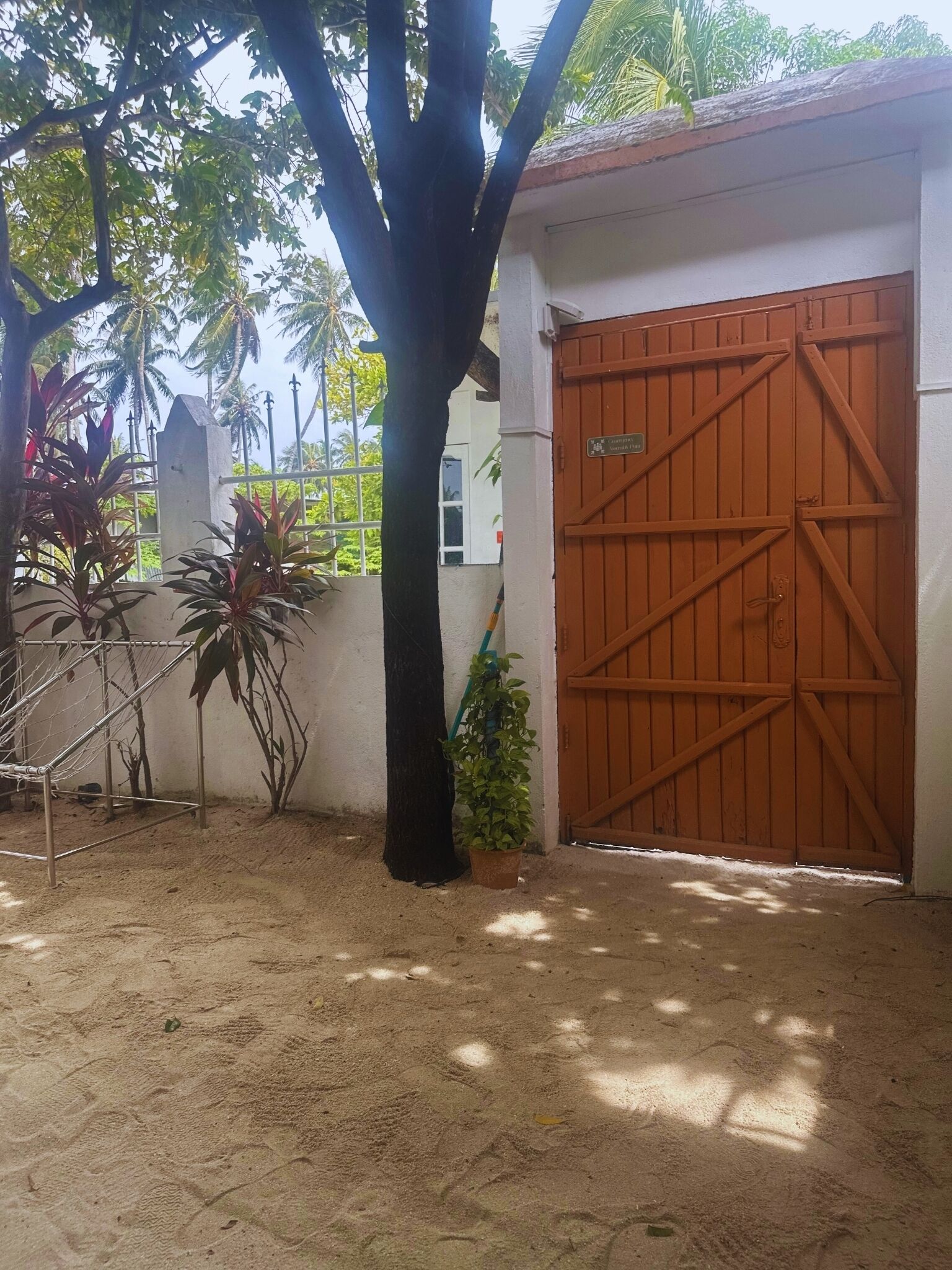 A gated area with a large tree, a small potted plant, and a metal structure.