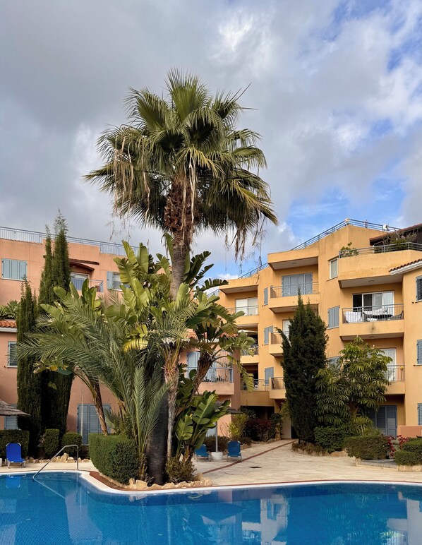 A pool area with a palm tree, a building with balconies, and a clear sky.
