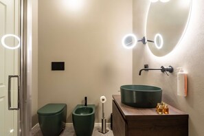 Shower, hair dryer, bidet, towels