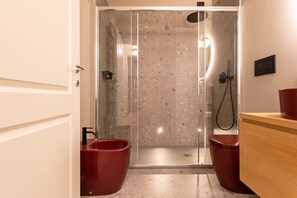 Shower, hair dryer, bidet, towels