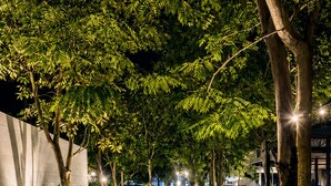 A nighttime garden pathway with trees and plants, leading to a building entrance. - Abode Hua Hin (Hua Hin)