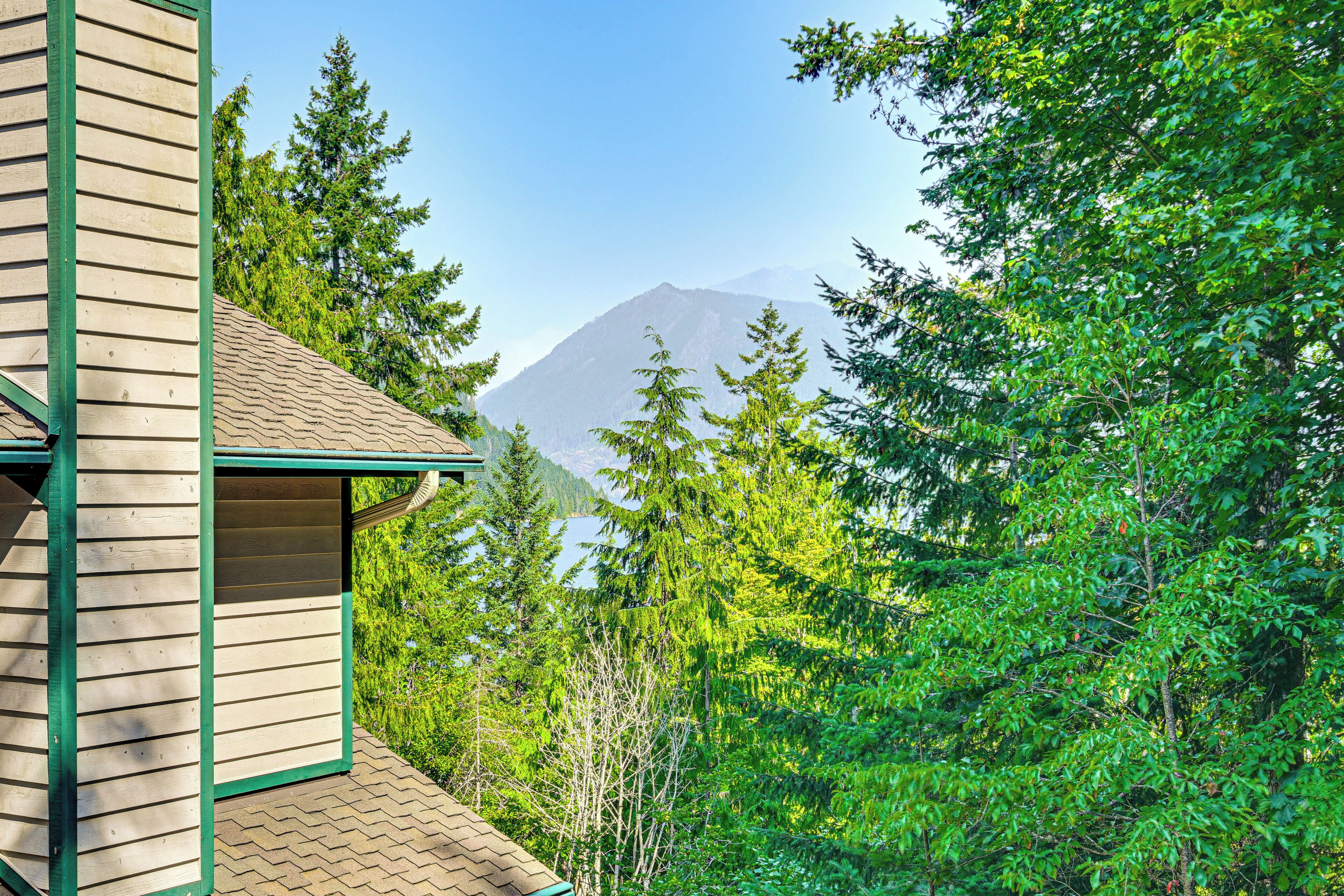A wooden building with a green trim, surrounded by dense green foliage and a mountain in the background.