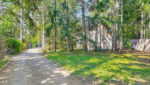 A gravel path leading to a wooden cabin surrounded by tall trees. - 2 Mi to Lake Cushman Access: PNW Cabin Retreat! (Hoodsport)