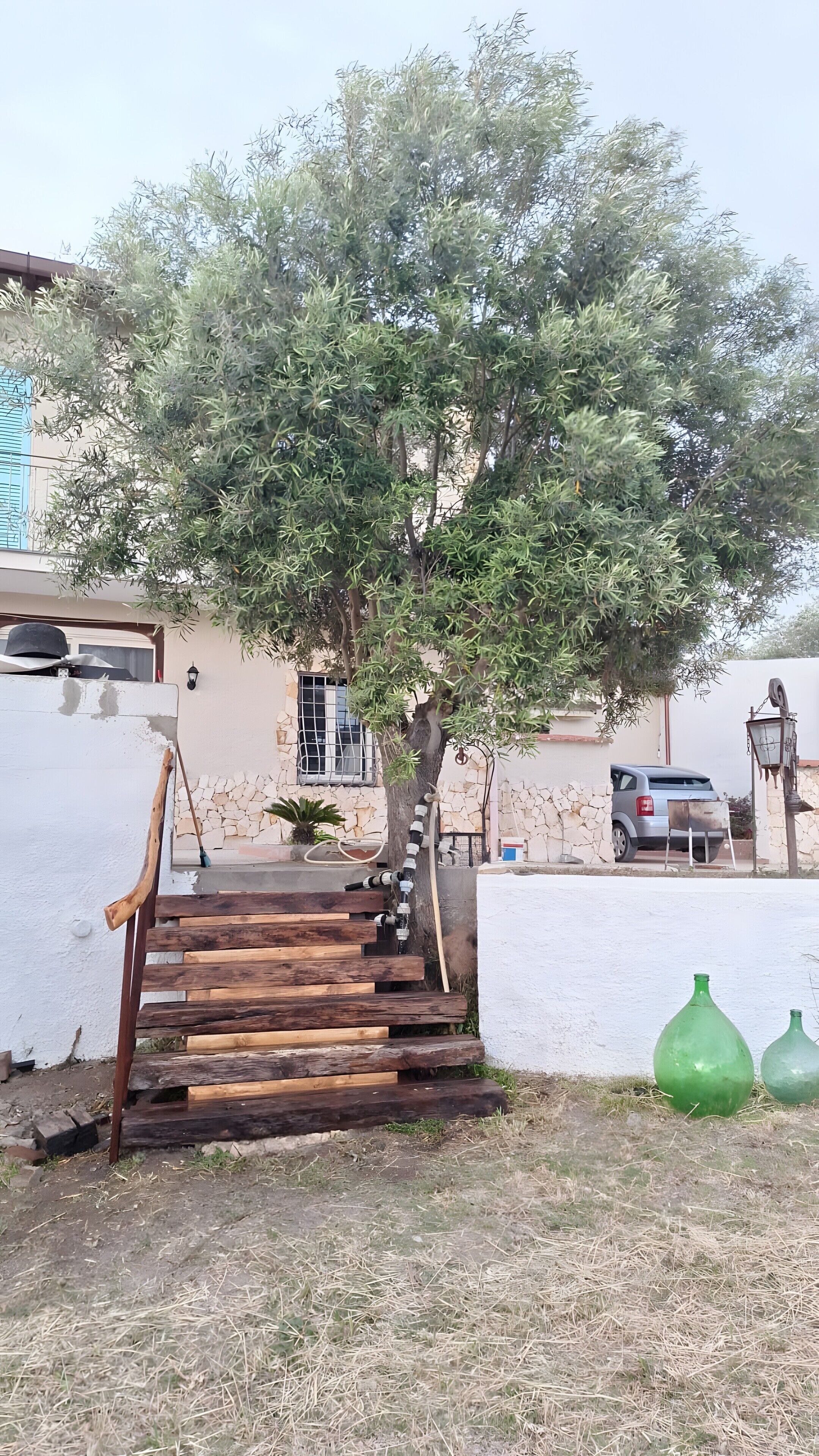 Un arbre avec un escalier en bois menant à un bâtiment, une voiture garée et deux vases verts posés sur le sol.