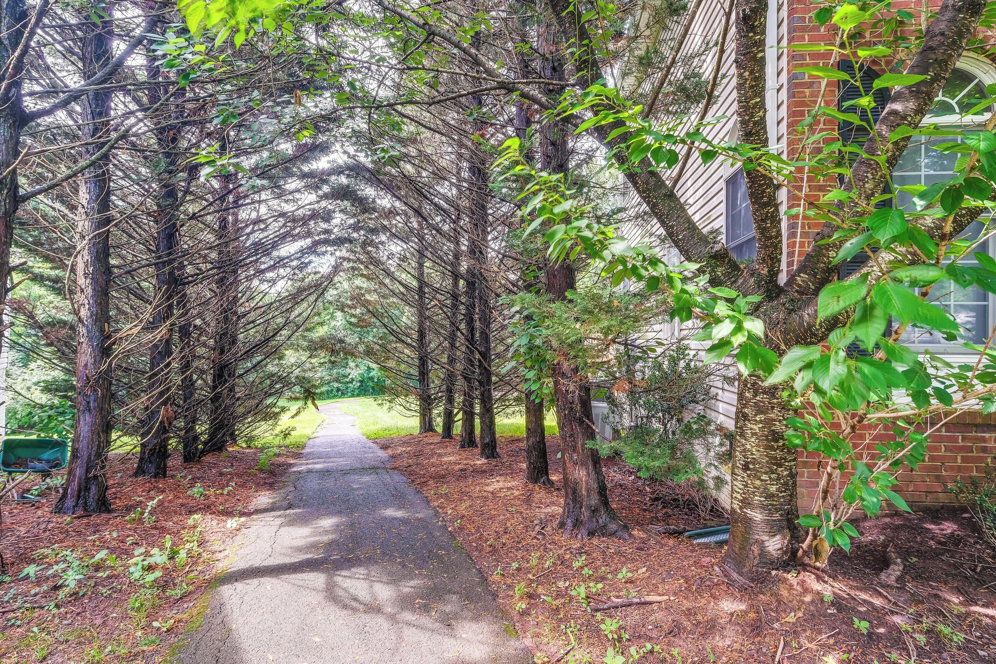 Casa (4 Bedrooms) | Interior