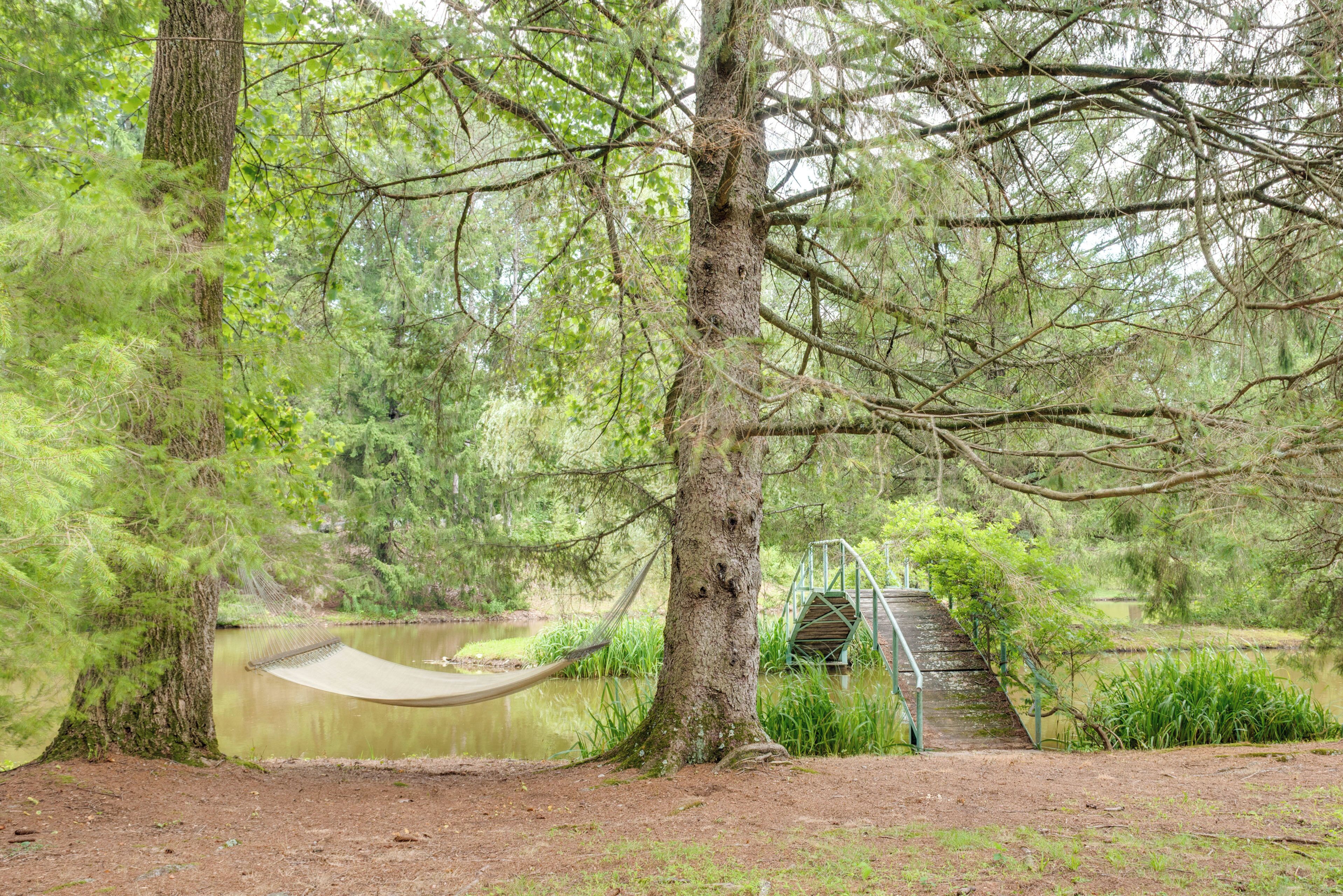 A hammock tied between two trees near a wooden bridge over a pond in a forested area.