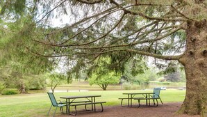 Two picnic tables with chairs, a gravel area, and a large tree with hanging bird feeders. - Fish & Hike: Lakeside Poconos Retreat, Unit 4 (Bangor)