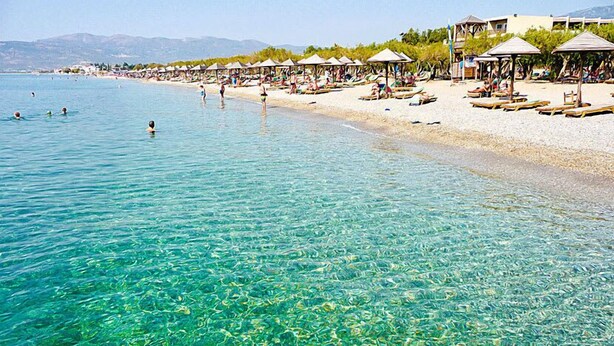Una playa con agua cristalina, tumbonas y sombrillas.