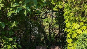 Un jardín con zona de estar que incluye sillas de mimbre y piso de concreto.
