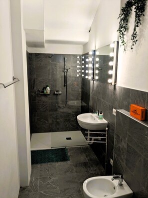 Dusche, Haartrockner, Bidet, HandtĂŒcher