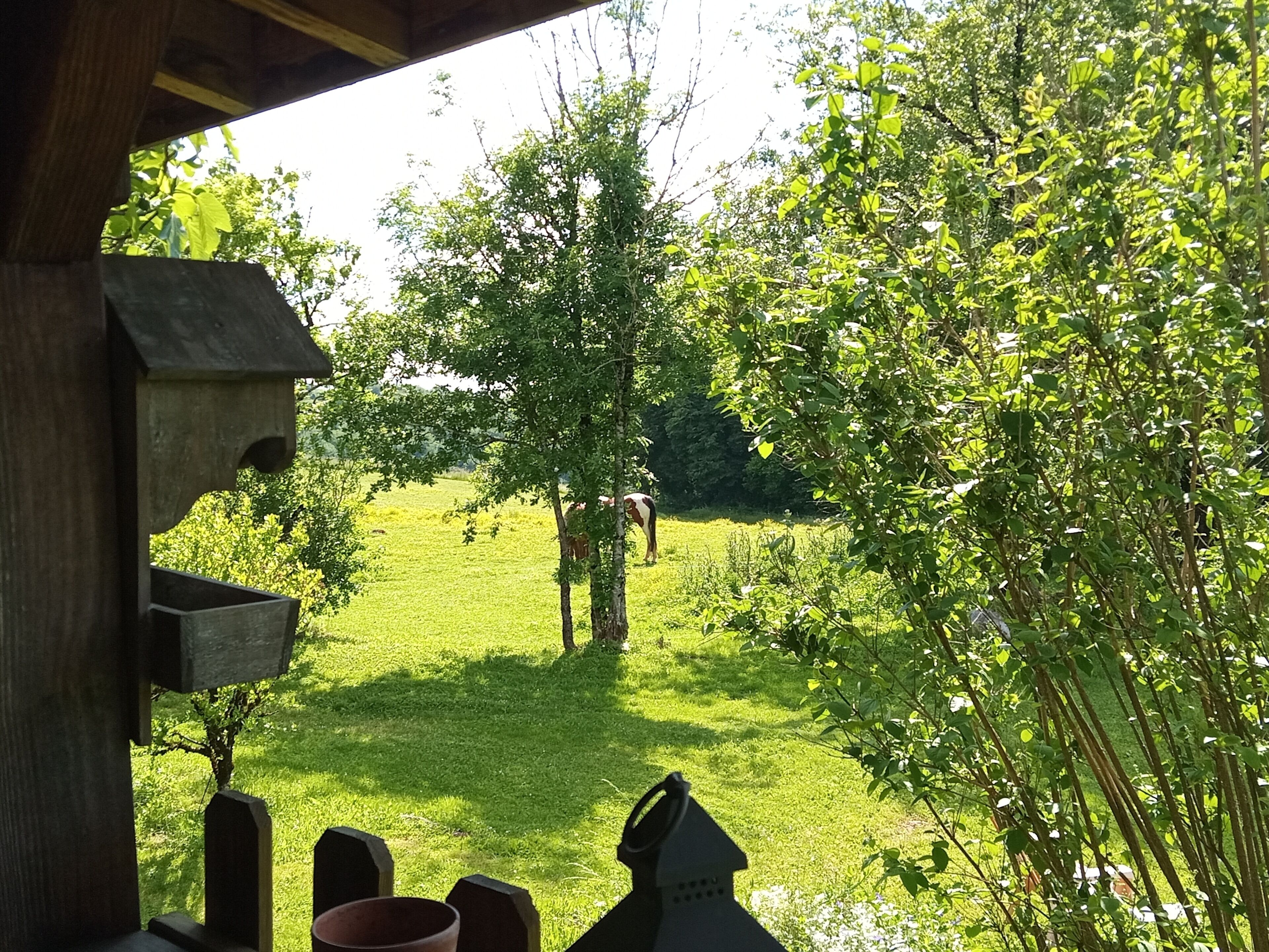 A wooden structure with a view of a grassy field and trees.