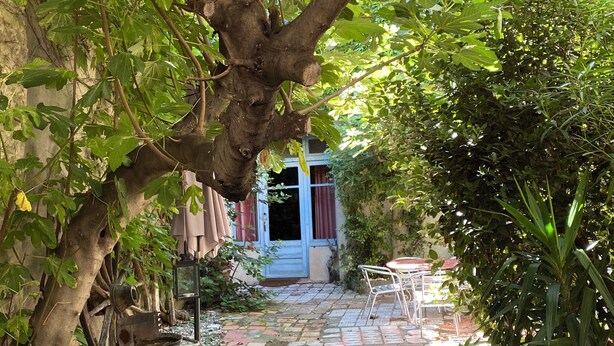 A garden pathway leading to a house with a blue door, surrounded by greenery and a rustic metal chair. - "Ancien Café " Holiday home (Camplong-d'Aude)